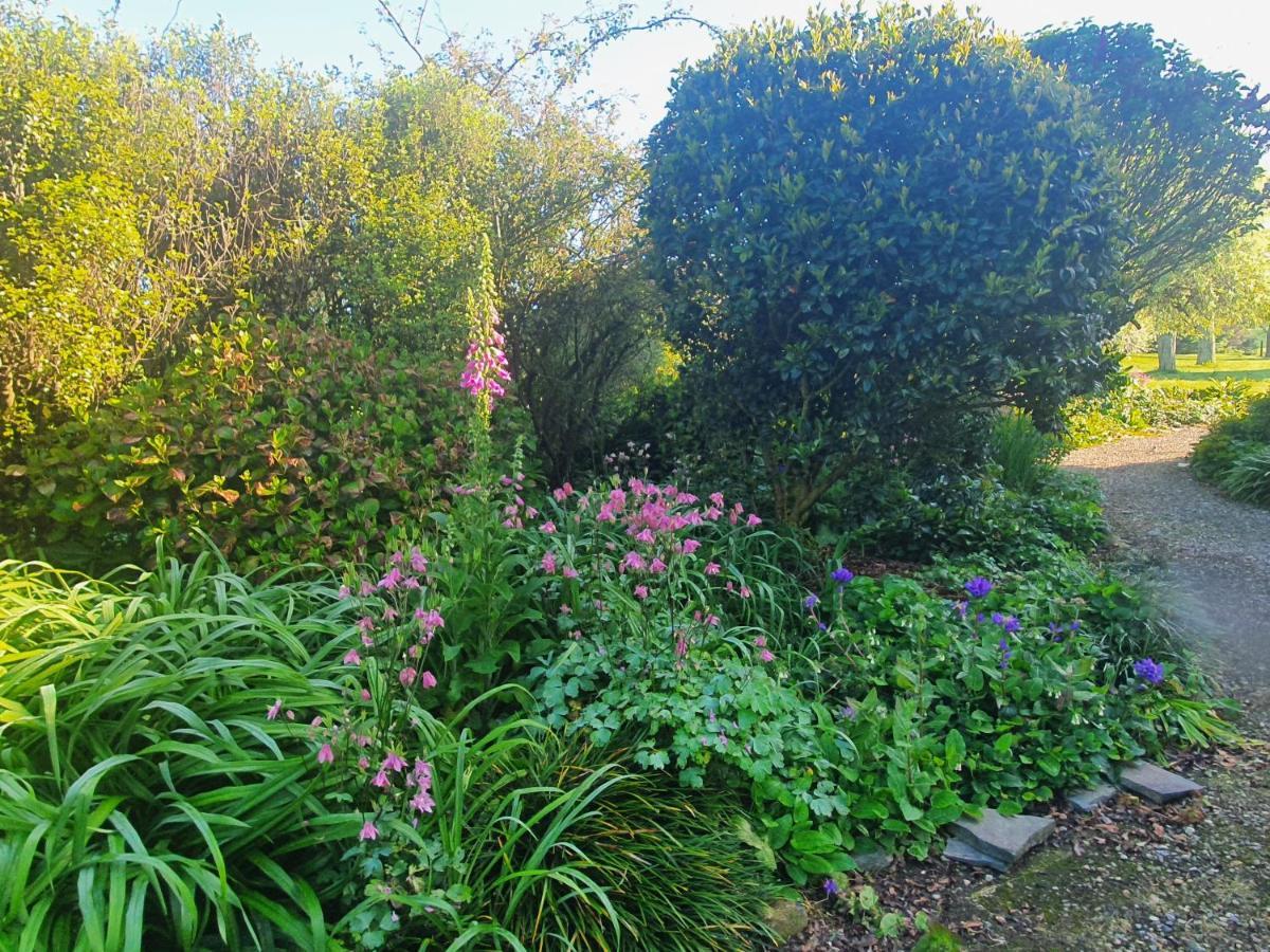 Streamside Country Manor Bed and Breakfast Walton Exteriör bild